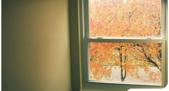 Fall: The Best Season to Replace Windows