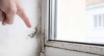 Are Your Windows Drafty? Here’s How to Find Out